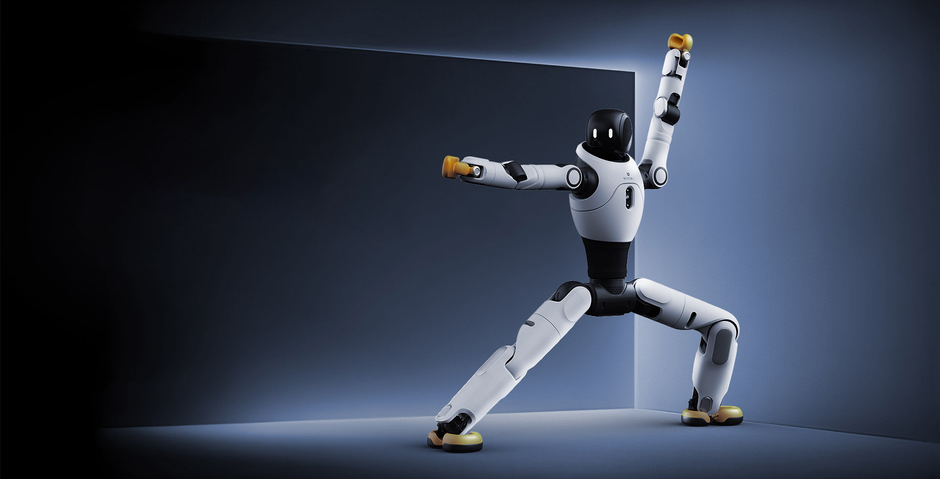 WD ROBOT